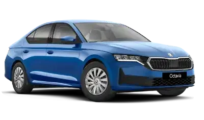 Skoda Octavia trans e1739355524506